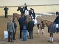 GP Poitiers GP Poitiers
