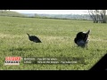 Turkey Hunting With Marsha Schearer from CVA