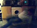 Breakdancing Dotsy 2