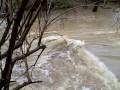 videos de East Bridge Squalicum Creeke at Cornwall Park