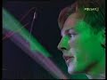 Blenders - Biribomba