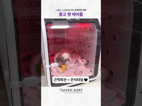 잔디밭에 누워서 굴러도 괜찮은 이유!