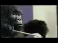 Cadburys Gorilla- PANTERA REMIX Cadburys Gorilla- PANTERA REMIX