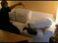 Retarded Cat (Kittsie Malloy)