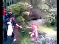 videos de Danny's Pond Jump 2