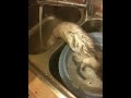 Yoshi Fufu au bain