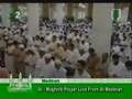 Nice Beautiful recitation of Quran, Sheikh Budair in Medina