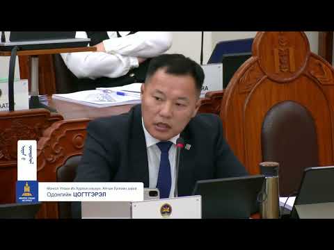 О.Цогтгэрэл: Баян чинээлэг болох боломжийг Баялагийн сангийн хуулийн нэг заалт хааж байна