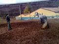 videos de mi yegua azhara