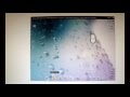 Samsung Pixon 12 - Galaxy S2 New PC Studio