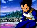Dragon Ball Z Pain.wmv