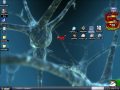 XP Desktop Pets 2