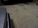 Bagged Caprice - Walk Around