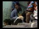 Visions of Guatemala