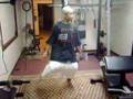 crank dat spongebob raw as hell.