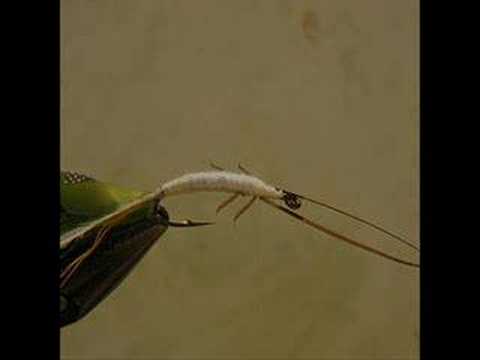 Green Caddis Larva (Step by steps)