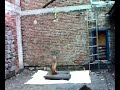 pitbull training from jhonny crack 2,50 (2m 50cm) SPRINGPOLE pitbull training from jhonny crack 2,50 (2m 50cm) SPRINGPOLE