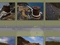 CURSO ADOBE PHOTOSHOP LIGHTROOM 2. Video 30