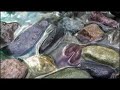 PEDRES - PIEDRAS - ROCKS - PICTURE IN MOTION