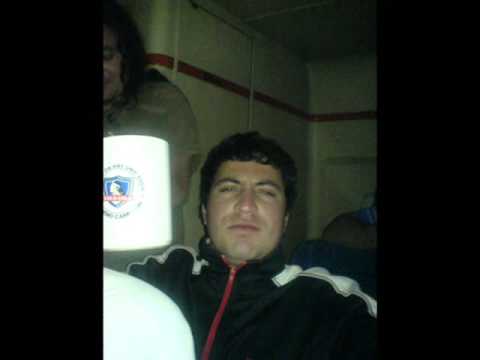 los lillo en pedro de valdivia