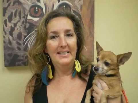 how to treat hge in dogs at home
