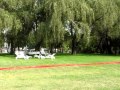 Inflatable soccer field 3