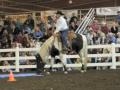John Lyons Rides Fearful Horse Over Tarp