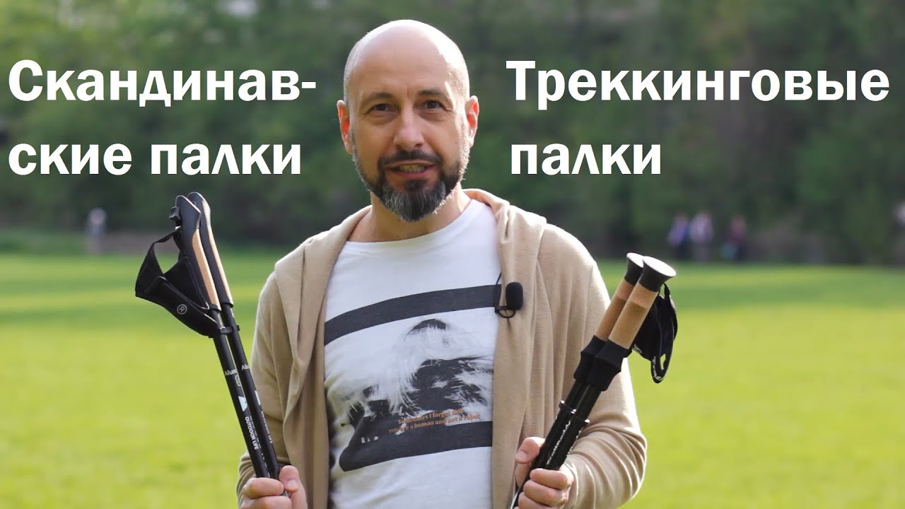 Как выбрать палки для родителей и в чем отличие треккинговых палок от палок для скандинавской ходьбы