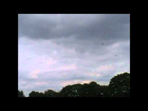 Watch RC Video: 'Warbird Dog Fight'