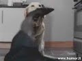 Haushaltsunf�lle