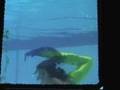 Marina the Mermaid at the Wreck Bar (S. Hattori re-release)