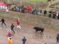 Encierros en Ciudad Rodrigo 2008