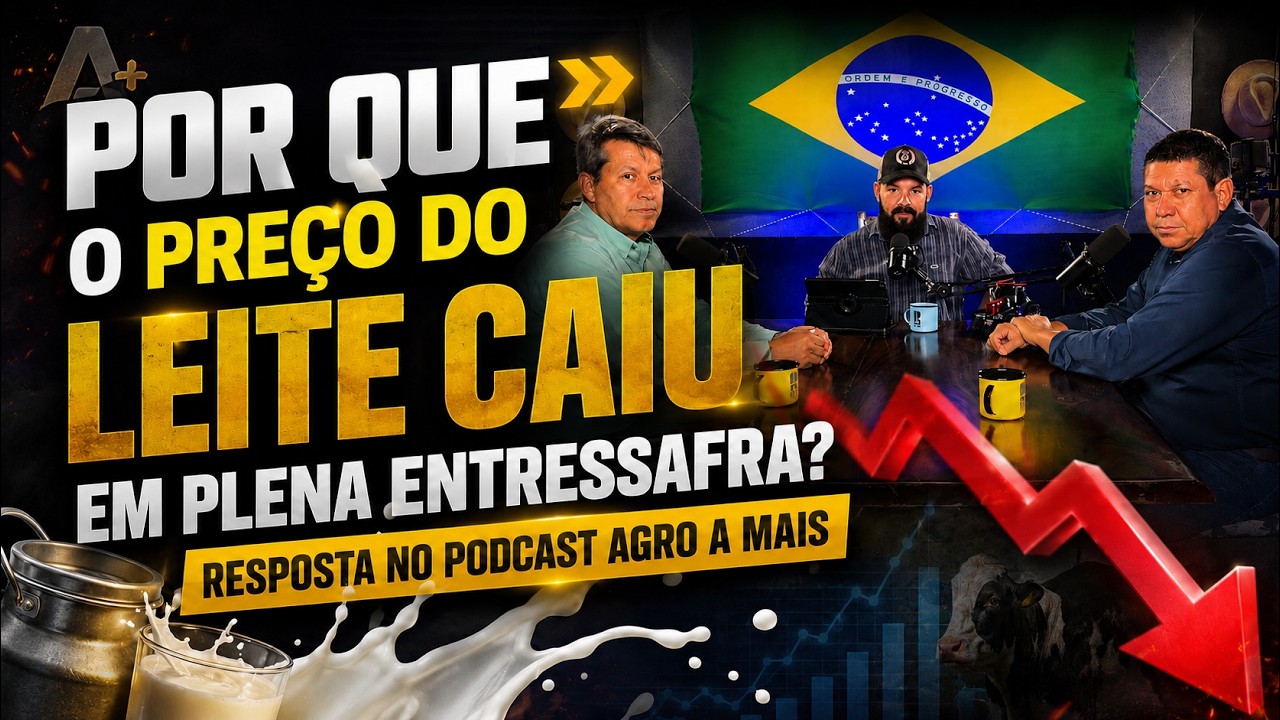 Por que o preço do leite caiu em plena entressafra? Resposta no Podcast Agro A Mais.