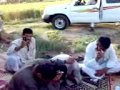 أبونمر ومروان السبعاوي