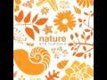 nature and numbers