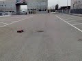 06012009074 06012009074