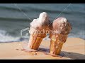 مصطفى قمر هتجنن.wmv