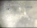 Astronomia Glaucoart año 1997 ( Echo en casa)