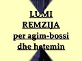 LUMI REMZIJA