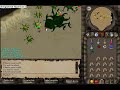Kalphite Queen by Maskott - Dragon Chain #2 Kalphite Queen by Maskott - Dragon Chain #2