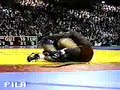 Freestyle amateur wrestling