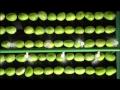 Mangoes n More and APEDA video
