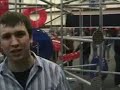 2007 FIRST Field Observations