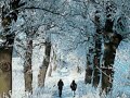 Kinderkoor Cecilia(Netherlands) - Bethlehem.wmv
