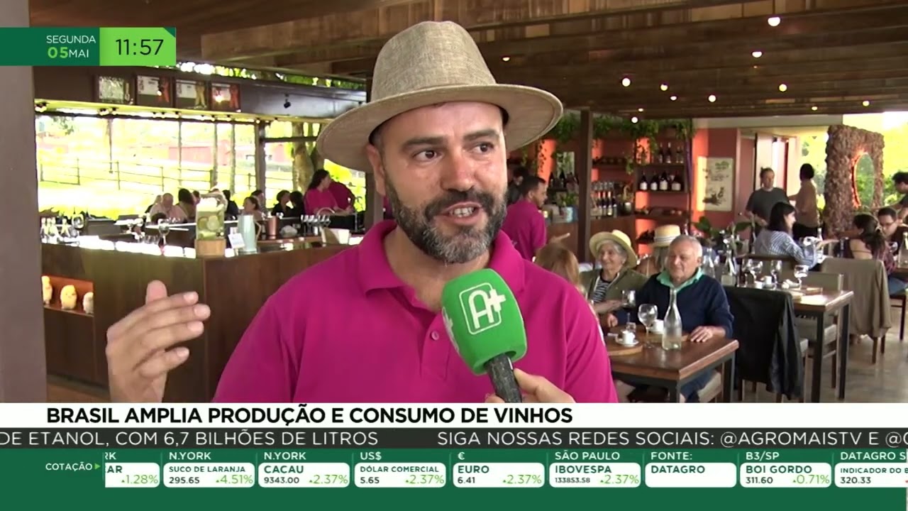 Brasil amplia produção e consumo de vinhos