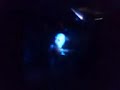 Video screenshot