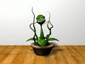 Planta Carnivora