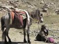 Sacred Mount Kailash in Tibet