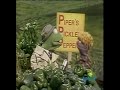 sesame street   news flash   pipers pickled peppers