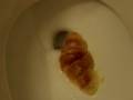 Carnival Cruise Toilet Croissant! Carnival Cruise Toilet Croissant!